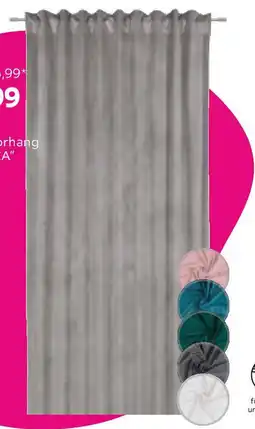 Mömax Fertigvorhang Bianca Beige Angebot