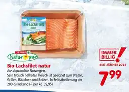 Interspar Bio-Lachsfilet Natur Angebot