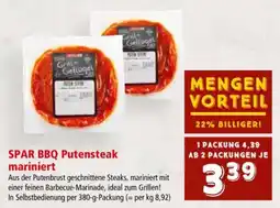 Interspar SPAR BBQ Putensteak mariniert Angebot