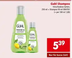 Interspar Guhl Shampoo Angebot