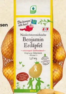 Billa Da komm' ich her Erdäpfel Benjamin Angebot