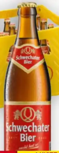 Billa Schwechater Bier Angebot
