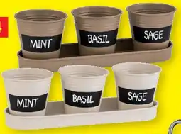 Lidl Parkside Kräutertopf-Set Angebot