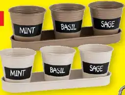 Lidl PARKSIDE Kräutertopf-Set Angebot