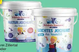 MPreis Erlebnis Sennerei Zillertal Naturjoghurt oder Leichtes Joghurt Angebot