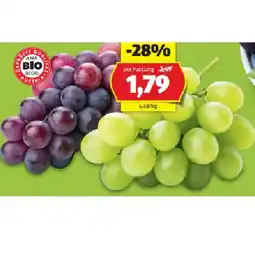 Hofer BIO-Trauben aus Österreich HOFER Angebot