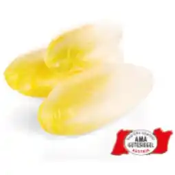 Hofer Chicoree aus Österreich HOFER Angebot