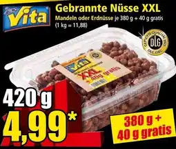 Norma Gebrannte Nüsse XXL Angebot