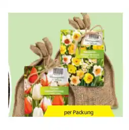 Hofer Blumenzwiebeln im Jutesack versch. Blütenfarben HOFER Angebot