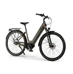 Hofer E-Bike Geniesser 3.3. HOFER Angebot