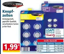 Norma Knopf- zellen Angebot