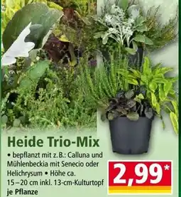 Norma Heide Trio Mix Angebot