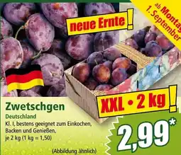 Norma Zwetschgen Deutschland Angebot