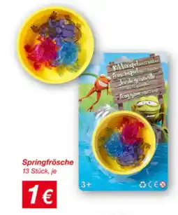 KiK Springfrösche Angebot
