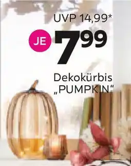 Mömax Dekokürbis PUMPKIN Angebot