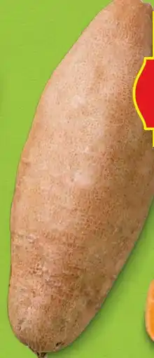 Hofer Hofer Marktplatz Bio-Süßkartoffeln Angebot