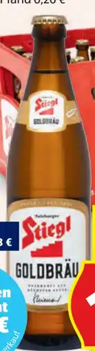 Hofer Stiegl Goldbräu Angebot