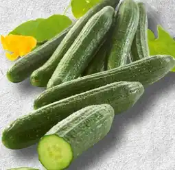 Spar Spar Gurken Angebot