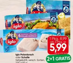 Spar Iglo Polardorsch Angebot