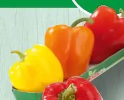 Spar Spar Paprika-Mix Angebot