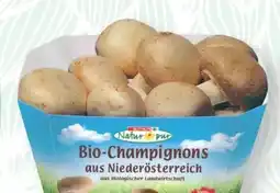 SPAR Gourmet Spar Natur pur Bio-Crema-Champignons Angebot