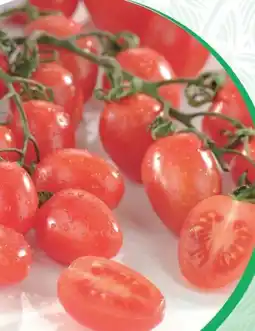 SPAR Gourmet Datterini Tomaten Angebot