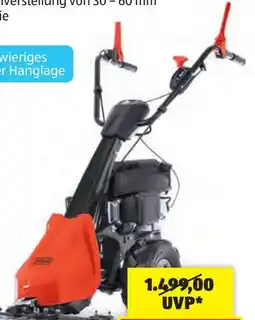 Hofer Scheppach Balkenmäher Angebot