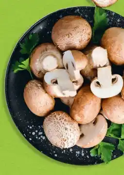 Hofer Hofer Marktplatz Bio-Champignon Angebot