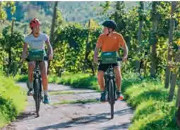 Hofer Hofer-Reisen E-Bike-Tour Italien-Venetien Angebot