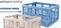Hofer Home Creation Profi Klappbox Angebot