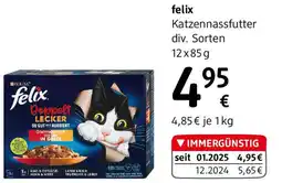 dm felix Katzennassfutter div. Sorten Angebot