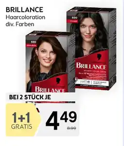Bipa Brillance haarcoloration div. farben Angebot