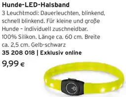 Tchibo Eduscho Hunde-LED-Halsband Angebot