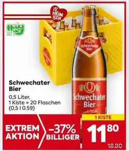 Billa Schwechater Bier Angebot