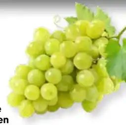 MPreis Premium Trauben Angebot