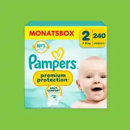 0815 Pampers Premium Protection Windeln Angebot
