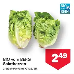 MPreis BIO vom BERG Salatherzen Angebot