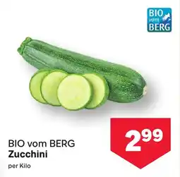 MPreis BIO vom BERG Zucchini Angebot