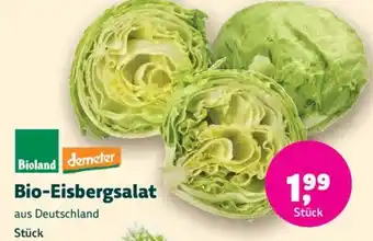 Denn's Biomarkt Bio-Eisbergsalat Angebot