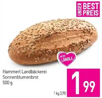 Sutterlüty Hammerl Landbäckerei Sonnenblumenbrot Angebot
