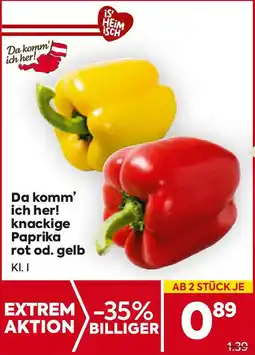Billa Da komm ich her! knackige Paprika rot od. gelb Angebot