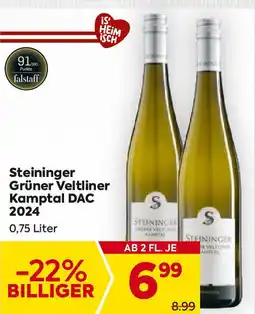 Billa Steininger Grüner Veltliner Kamptal DAC 2024 Angebot