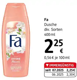 dm Fa Dusche div. Sorten Angebot