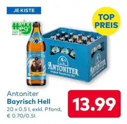 T&G Antoniter Bayrisch Hell Angebot