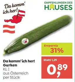 ADEG Da komm'ich her! Gurken Angebot