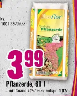 Hornbach Pflanzerde Angebot