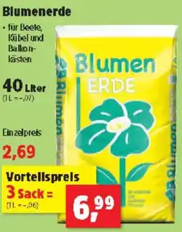 Thomas Philipps Blumenerde Angebot
