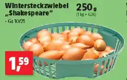 Thomas Philipps Wintersteckzwiebel Shakespeare Angebot