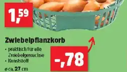 Thomas Philipps Zwiebelpflanzkorb Angebot