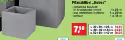 Thomas Philipps Pflanzkübel Kubus Angebot